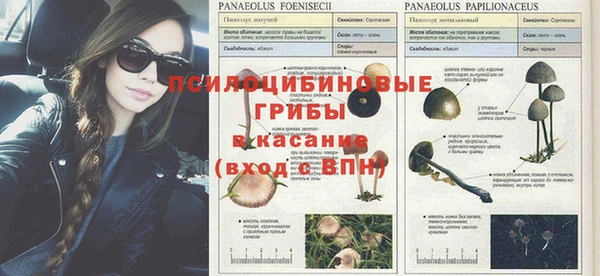 а пвп мука Алзамай