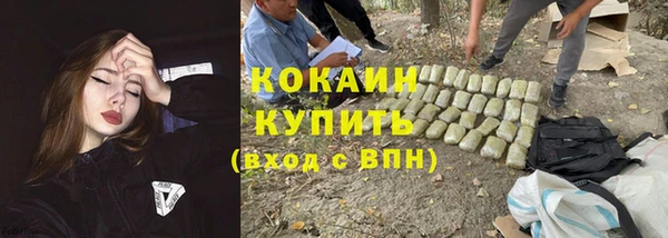 а пвп мука Алзамай