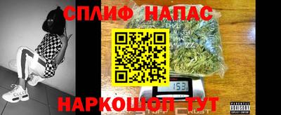 стаф Малгобек