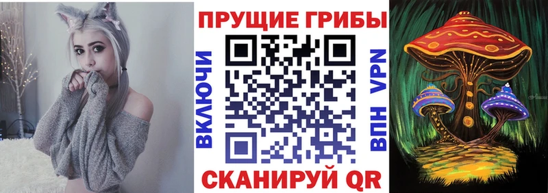 mega зеркало  Губкин  Псилоцибиновые грибы мухоморы 