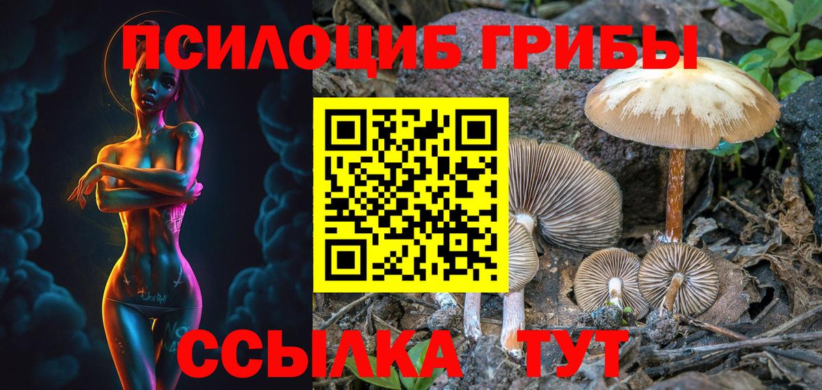 где купить наркотик  Псилоцибиновые грибы Magic Shrooms  Вход с VPN  Губкин  Галлюциногенные грибы GOLDEN TEACHER 